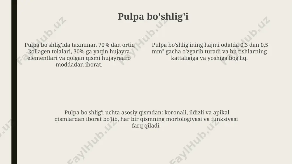 tish anatomiyasi - Page 4