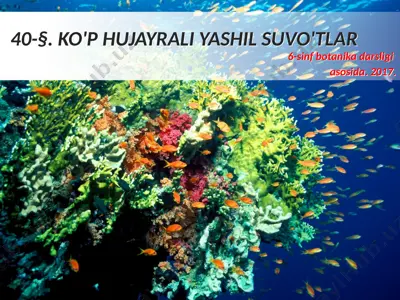 ko'p hujayrali yashil suvo'tlar. 6 - sinf — PPTX