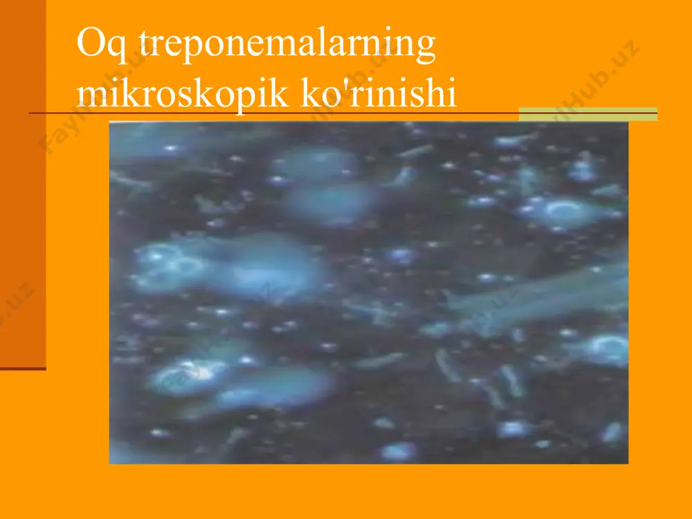 teri-tanosil kasalliklari kursi - Page 4