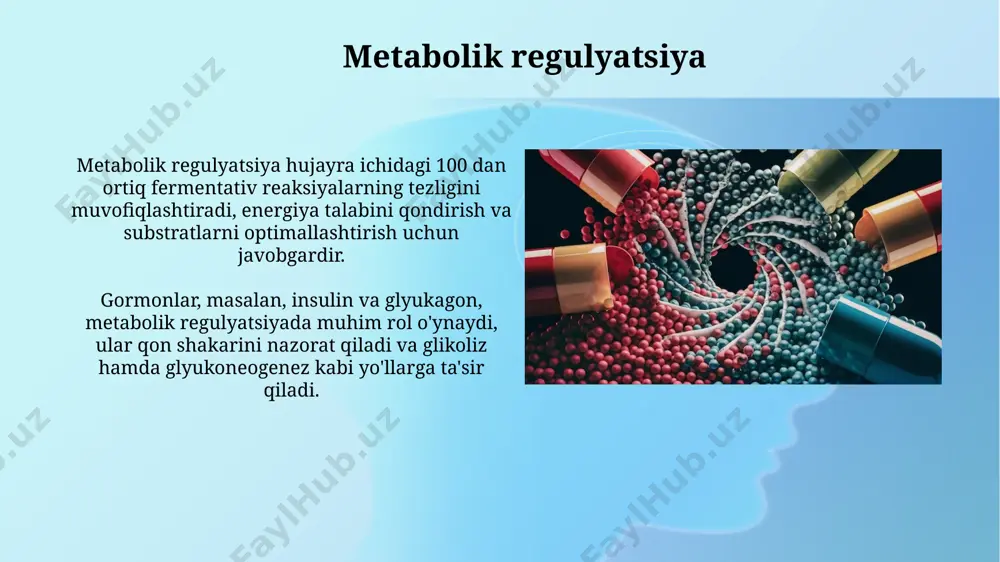 moddalar almashinuvi metabolizm - Page 5
