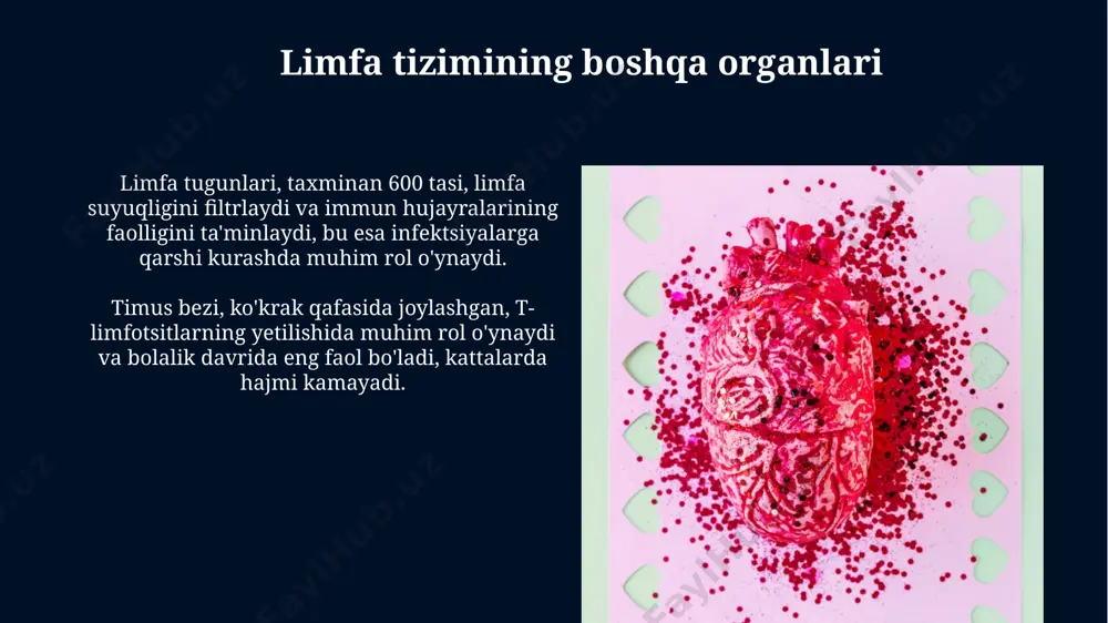 limfaning hosil bo‘lishi, tarkibi va vazifalari - Page 4