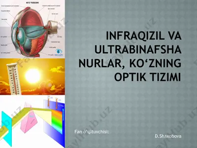 infraqizil va ultrabinafsha nurlar, ko‘zning optik tizimi — PPTX