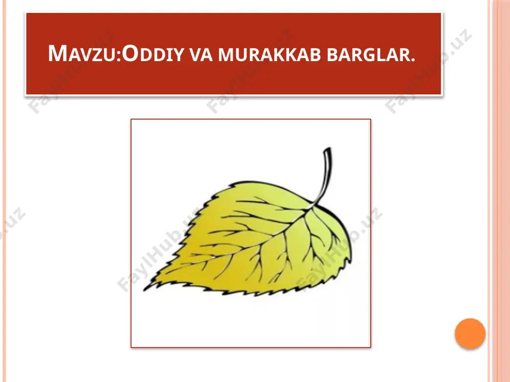 oddiy va murakkab barglar - Page 2