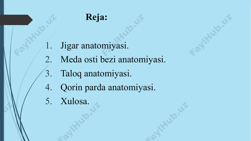 ib 2 chetida kengayib lig.triangulare dextra et sinistrani hosil qiladi. a’zolar bilan boylamlari: ligamentum hepatorenale – jigar buyrak boylami ligamentum hepatoduodenale - jigar 12 barmoq ichak boylami ligamentum hepatogastricum – jigar oshqozon boylami facies viseralisda 2 ta egat va undagi tuzilmalar bilan tanishib chiqamiz. sulcus sagitalis sinistra-fissura lig.teretis va fissura lig.venosum orasida joylashadi. sulcus sagitalis dextra-fossa vesicae biliaris va sulcus vena cava inferior orasida joylashadi. o’ng va chap egatlar qo’shilib ko’ndalang egat jigar darvozasi portae hepatisni hosil qiladi. facies visseralis yuzasidagi a’zolar tegib botiqliklar hosil qilgan: lobus sinistrada-impressio gastrica, impressio esophagea lobus dextrada-impressio renalis, impressio suprarenalis, impressio duodenalis, impressio colica. jigar pardalari 2 ta: 1. tunica serosa-seroz parda qorin pardani visceral varag’idan hosil bo’ladi.(area nuda-diafragma yuzasida seroz parda bilan o’ralmagan. fibroz parda bilan qoplanib diafragmaga birikadi va infeksiya ikkala bo’shliqqa o’tishiga imkon berishi mumkin) 2. tunica fibroza (glisson kapsulasi)-fibroz parda biriktruvchi to’qimadan iborat jigar ichiga kirib uni bo’laklarga bo’ladi. jigar …