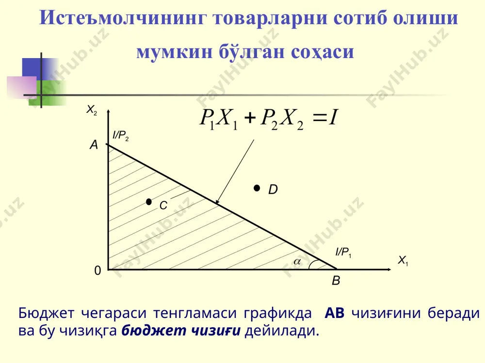 bюджет чегараси ва бюджет чегараси - Page 3