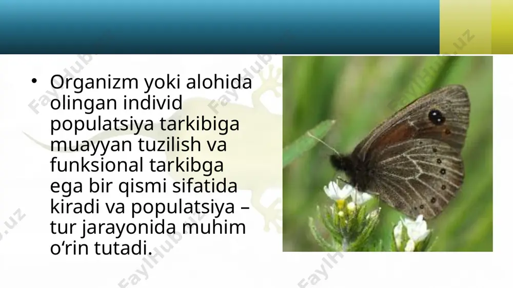 hayotning organizm darajasi va uning o‘ziga xos jihatlari. 10 - sinf - Page 4