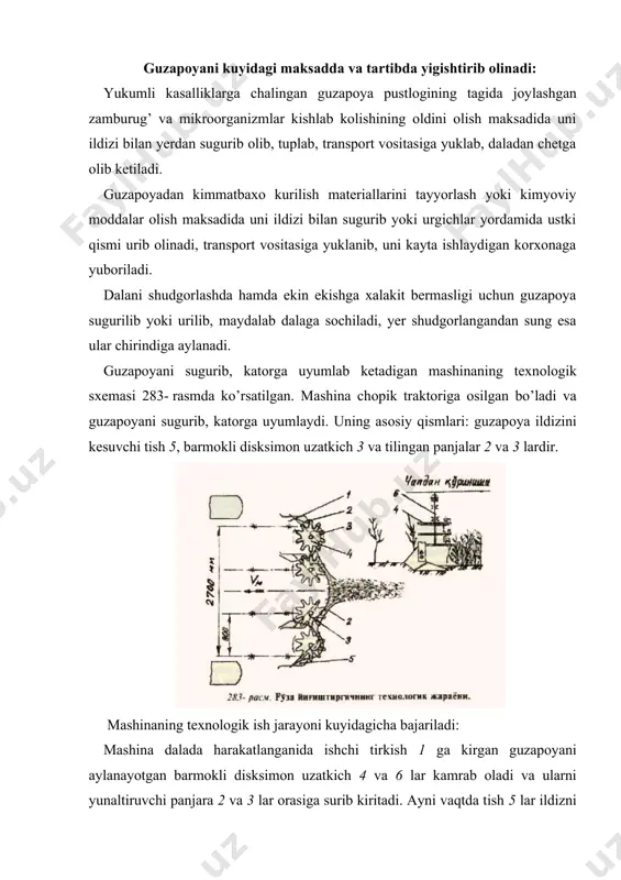 adi. yumshok tuproqda kesuvchi tishning juyak pushtasidan boshlab botish chuqurligi 50...100 mm, zich va kurug’ tuproqda 100...150 mm kilib o’rnatiladi. tishning yerga botish chuqurligi traktorning osish moslamasidagi kashaklar va markaziy tortki yordamida sozlanadi. buyi 60...80 sm li guzapoyalarni yigishda disksimon uzatkich bilan yumshatish tishi orasidagi masofa minimal bo’lishi, 80...100 sm buyli guzapoyalarni yigish- tirishda bu masofa kuprok kuyiladi. poyalarni uyumlashda uyumlagich prujinasi juda bush kilib o’rnatiladi. kartoshkani yigishtirish texnologiyasi kartoshka hosilini yigishtirib olish mashakkatli ish bo’lib, u kartoshka yetishtirish uchun sarflanadigan harajat larning 45...60% ni tashkil etadi. kartoshka kator oraligi 70 sm, uyalar orasi 30 sm kilib ekiladi. kartoshka hosili har xil chuqurlikda joylashadi. pastki va ustki tugunaklarning chuqurligi h1, h2 va kartoshkalar joylashgan uyalar​ning kengligi b1 larga asoslanib, kovlagich qismlarining o’lchamlari aniqlanadi. kupincha b1 q14...24 sm, h1 q l6...21 sm, h2 q l...5 sm bo’lishi ma`lum. bu tugunak uzunligi lt, kengligi bt va qalinligi st bo’lgan uchta o’lcham bilan …
