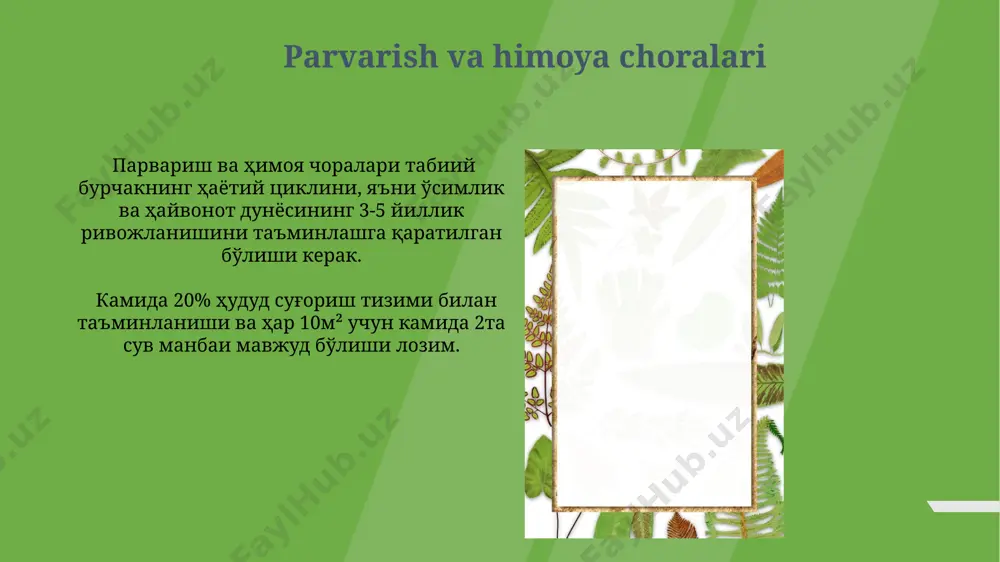 tabiat burchagida qo'yiladigan talablar - Page 4