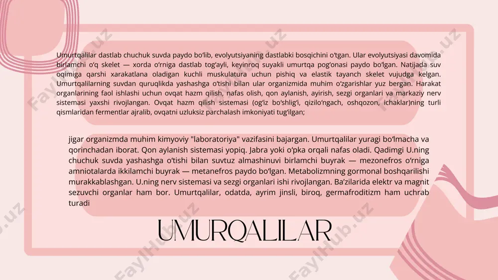 ujayralari – uzoq muddatli bosimni sezadi. bu mexanik ta’sirlar elektr impulslariga aylantirilib, markaziy asab tizimiga yuboriladi. sezgi organlari muvozanat va holat sezgisi (vestibulyar tizim) organ: ichki quloqdagi yarim doira kanallari sensor mexanizmi: boshlovchi harakat va holat o‘zgarishlarida yarim doira kanallari ichidagi suyuqlik harakatlanadi. bu harakatdagi suyuqlik retseptorlarni qo‘zg‘atadi. bu sezgi muvozanatni saqlash uchun zarur va bosh miya hamda mushaklarga signallar yuboriladi. sezgi organlari tegish, bosim, harorat va og‘riq – teri ▪️ asosiy organ: teri ▪️ sensor retseptorlar: meissner tanachalari – yumshoq tegish, pacinian tanachalari – kuchli bosim, ruffini tanachalari – issiqlik, krause tanachalari – sovuqlik, noyob nerv tugunlari – og‘riq ▪️ sensor mexanizmi: teri stimulyatsiyasi natijasida nerv retseptorlari elektr impuls hosil qiladi. impulslar orqa miya orqali markaziy asab tizimiga boradi. sezgi organlari muvozanat va fazoviy holatni sezish ▪️ asosiy organ: ichki quloqdagi yarim doira kanallari va otolit organlari ▪️ sensor mexanizmi: harakat paytida suyuqlik ichki quloqdagi sensor hujayralarga bosim beradi. …
