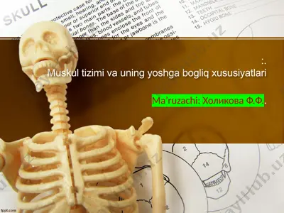 muskultizimi va uning yoshg‘abog‘liq xususiyatlari — PPTX