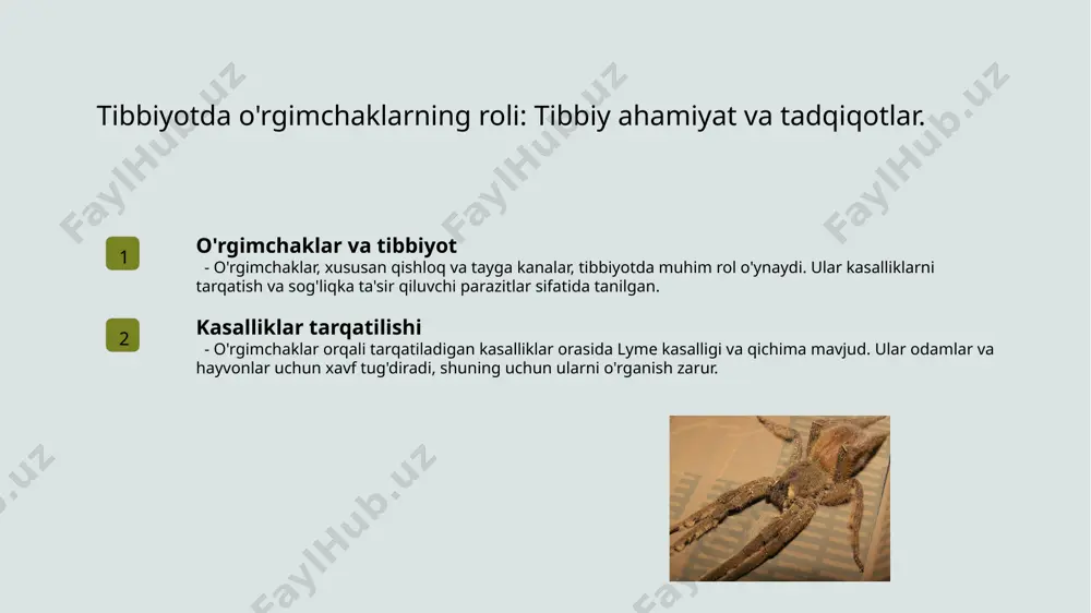 lar uchun xavflar qishloq kanalarining odamlar uchun xavfi, ular orqali tarqaladigan kasalliklar, masalan, lyme kasalligi va qizilcha infeksiyasidir. hayvonlar uchun xavflar qishloq kanalar hayvonlarda ham jiddiy muammolar yaratishi mumkin, masalan, qon so'rish orqali parazitar kasalliklar tarqatishlari mumkin. profilaktika va davolash qishloq kanalarining ta'siridan himoyalanish uchun profilaktika choralarini ko'rish va zarur hollarda davolash usullaridan foydalanish muhimdir. qichima kanalarining biologik xususiyatlari va ularning sog'liqka ta'siri. 1 qichima kanalarining turlari qichima kanalari, asosan, sarcoptes scabiei va demodex folliculorum kabi turli xil turlarga ega bo'lib, inson terisida yashaydi va qichishishlarga sabab bo'ladi. 2 biologik xususiyatlar qichima kanalarining tanasi yumaloq va mayda bo'lib, terining ustki qatlamiga kirib, tuxum qo'yish orqali ko'payadi. ular parazitar hayot tarziga ega. 3 sog'liqka ta'siri qichima kanalari teri kasalliklariga, masalan, qichima (scabies) va dermatitga olib keladi. ular shuningdek, ikkilamchi bakterial infektsiyalarga sabab bo'lishi mumkin. tayga kanalarining tarqalishi va ularning kasalliklarni yuqtirishdagi roli. 01 tayga kanalarining tarqalishi tayga kanalari, asosan, o'rmonli va …