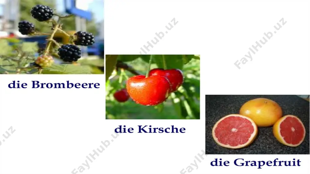 obst und gemüse - Page 4