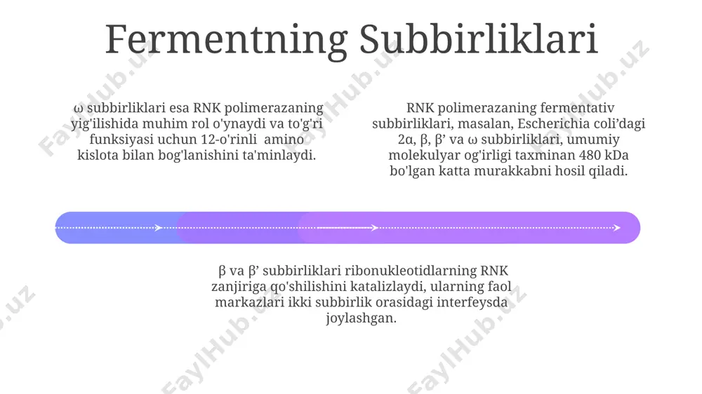 rnk polimerazaning tuzilishi - Page 4