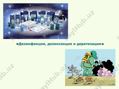 дезинфекция, дезинсекция и дератизация — PPT