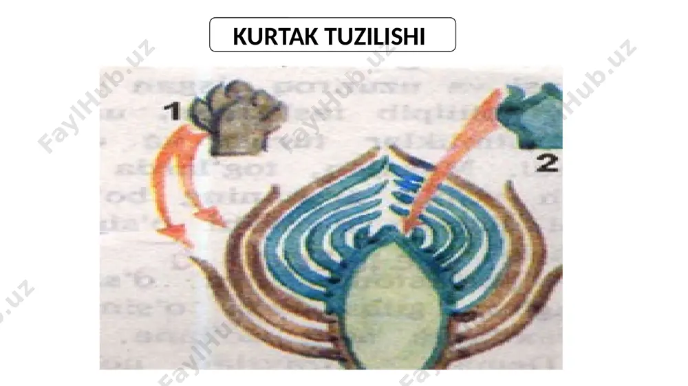 suhrob ergashev novda tuzilishi - Page 3