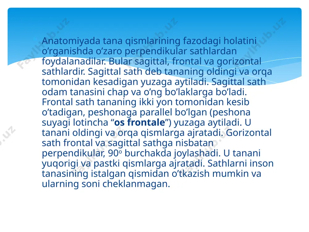 anatomik ibora tarjimasi - Page 4
