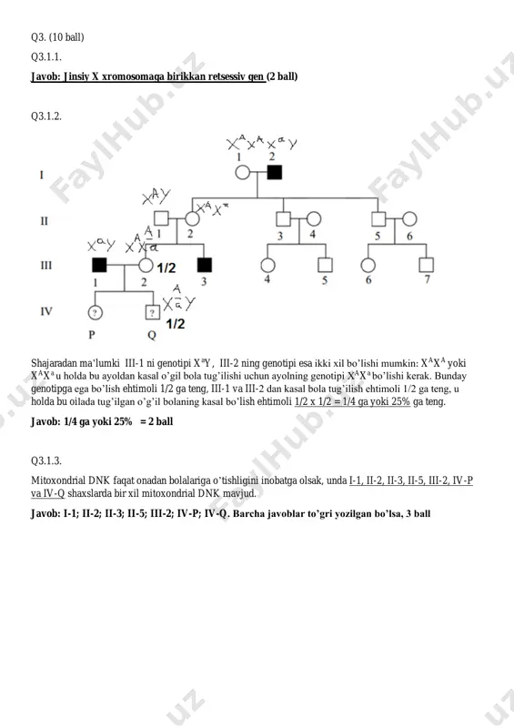 genetika sinov testi - Page 3