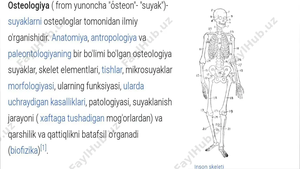 osteologiya terminlari - Page 3