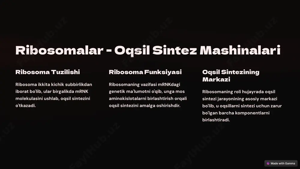 oqsil biosintezi - Page 5