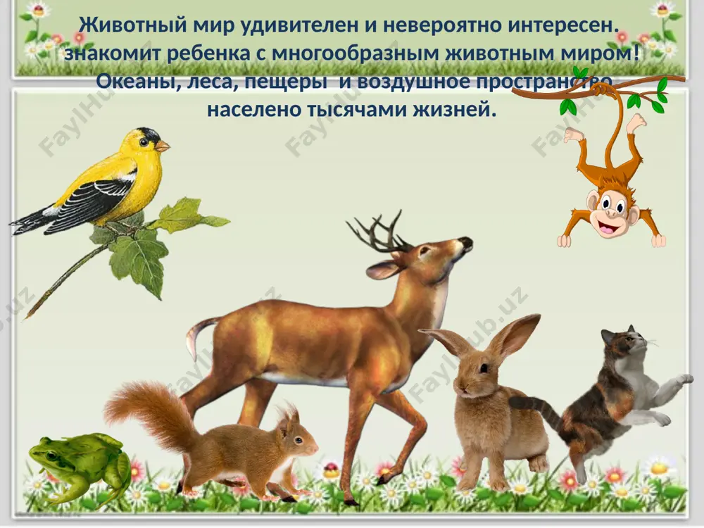 в мире животных - Page 2