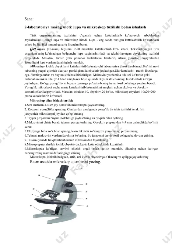 7.tasvirni yanada tiniqlashtirish uchun mikrovintdan foydalaning. 8.mikropreparat dastlab kichik obyektivda, keyin katta obyektivda kuzatiladi. 9.mikroskopda ko'rilgan tasvirni chizish orqali eslab qolish mumkin. shuning uchun ko’rgan narsangizning rasmini daftaringizga chizing. mikroskopni ishlatib bo'lgach, artib, uni kichik obyektivga o`tkazing va qolipga joylashtiring rasm asosida mikroskop qismlarini yozing. sana:_____________________________ 3-laboratoriya mashg`uloti: piyoz po`sti hujayrasini mikroskopda o`rganish kerakli jihozlar: buyum oynasi, qoplag'ich oyna, skalpel, pinset, pipetka, mikroskop, filtr qog'oz, yod eritmasi, piyoz. ishni bajarish tartibi: 1.piyozni skalpel yordamida to’rtga bo’ling 2.tozalab artilgan buyum oynasiga pipetka yordamida bir tomchi suv tomizing. 3.pinset yordamida kesilgan piyozning yupqa po'stini ajratib oling. 4.piyozning yupqa po'stini buyum oynasidagi bir tomchi suv ustiga tekis qilib joylashtiring. 5.piyoz po'sti ustiga bir tomchi yod eritmasi tomizing. 6.qoplag'ich oyna bilan yopib, ortiqcha suvni tiltr qog'ozga shimdiring. 7.dastlab mikroskopning kichik obyektivida, keyin katta obyektivida kuzating 8.mikroskop ostida ko'ringan tasvirni daftaringizga chizing va xulosa yozing. xulosa mikroskop ostida qaralganda zich joylashgan silindrsimon piyoz hujayralari ko’rinadi.mikroskopning …
