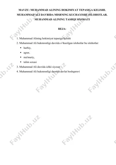 muhammad alining hokimiyat tepasiga kelishi — DOCX