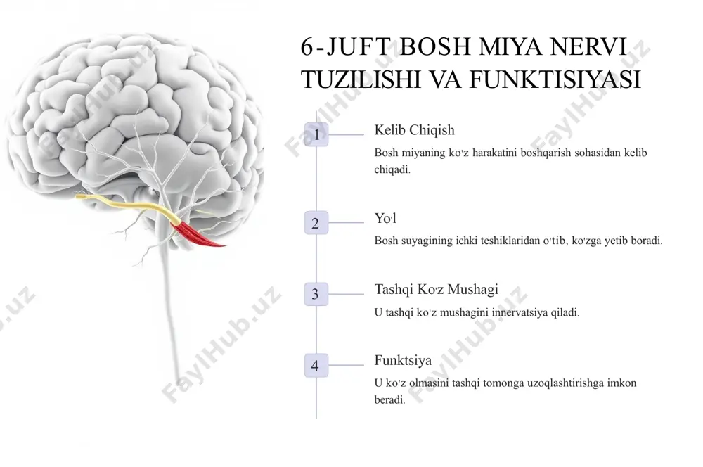 rivojlanish, ijtimoiylashuvi va tarbiya - Page 5