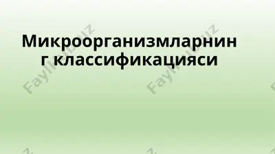 микроорганизмларнинг классификацияси — PPTX