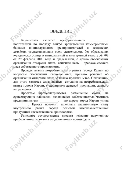 бизнес-план частного предпринимателя — DOC