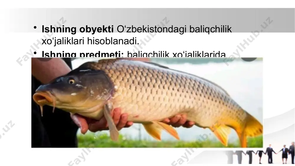 al rivojlantirishda muhim omil bo‘lmoqda. bundan tashqari, ilmiy-tadqiqot institutlari bilan hamkorlikda olib borilayotgan seleksiya ishlari, yangi zotli baliq turlarini yaratish va ularning ommalashtirilishi, shuningdek, suv resurslaridan ekologik jihatdan oqilona foydalanish orqali mahsuldorlikka erishish imkoniyatlari kengaymoqda. bu esa o‘z navbatida eksport salohiyatining oshishiga, mahalliy bozorni arzon va sifatli baliq mahsulotlari bilan ta’minlashga xizmat qilmoqda.yakuniy xulosa sifatida aytish mumkinki, baliqchilikni rivojlantirishga qaratilgan chora-tadbirlar tizimli, ilmiy va innovatsion yondashuvlar asosida amalga oshirilsa, bu soha nafaqat iqtisodiy, balki ekologik barqarorlikni ta’minlashda ham o‘zining muhim o‘rnini saqlab qoladi. kelgusida bu yo‘nalishdagi faoliyatni yanada kuchaytirish, ilg‘or texnologiyalarni keng tatbiq etish orqali yuqori samaradorlikka erishish mumkin. e’tiboringiz uchun rahmat image2.jpeg image3.jpeg image4.jpeg image5.jpeg image6.jpeg image7.jpeg image8.jpeg image9.jpeg image10.jpeg image11.jpeg image12.jpeg image13.jpeg image14.jpeg image15.jpeg image16.jpeg image1.jpeg /docprops/thumbnail.jpeg