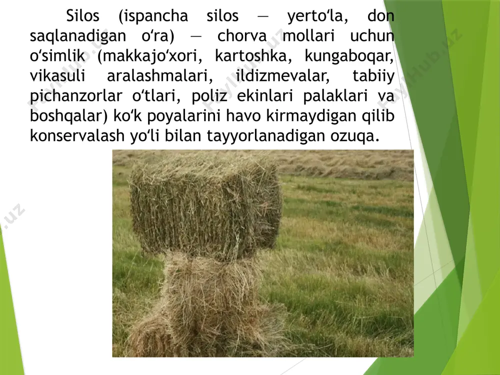 onida 20% gacha boʻlishi mumkin. katta yoshdagi krramollarga 1 kunda oʻrtacha 15–20 kg , otlarga 10–12 kg , qoʻylarga 3–4 kg beriladi. senaj (rus. seno — pichan) — namligi 50—55% ga qadar soʻlitilgan koʻk poyalarni germetik sharoitda konservalash yoʻli bilan tayyorlanadigan ozuqa. senajni pichan va silos uchun foydalaniladigan barcha turdagi oʻtlar va ularning aralashmasidan tayyorlash mumkin. koʻproq dukkakli oʻtlardan tayyorlanadi. oʻtlarni oʻrish, soʻlitish, maydalash, transheyaga bosish, shibbalash va ustini yopish jarayonlarini qamraydi. ustiga ikki qavat polietilen plyonka yopilib, 30 sm qalinlikda tuproq bilan koʻmiladi. molga berish uchun 20 kunda tayyor boʻladi. senaj ochilgach, kundalik ratsionga loyiq miqdori olinib, darhol usti zich yopib qoʻyilishi lozim. aks holda havo taʼsirida oksidlanib sifati buziladi. usti ochilmagan senajni 1 — 2 yil saklash mumkin. senaj bostirish uchun oʻsimliklar gʻunchalash va gullay boshlash davrida oʻriladi. 100 kg beda si da 35—40 ozuka birligi, 4–5 kg hazm boʻladigan protein, 450—460 g karotin bor. 1 kg senajning …
