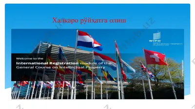 халқаро рўйҳатга олиш — PPTX