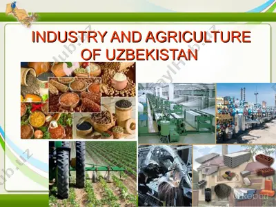 industry and agriculture of uzbekistan — PPT