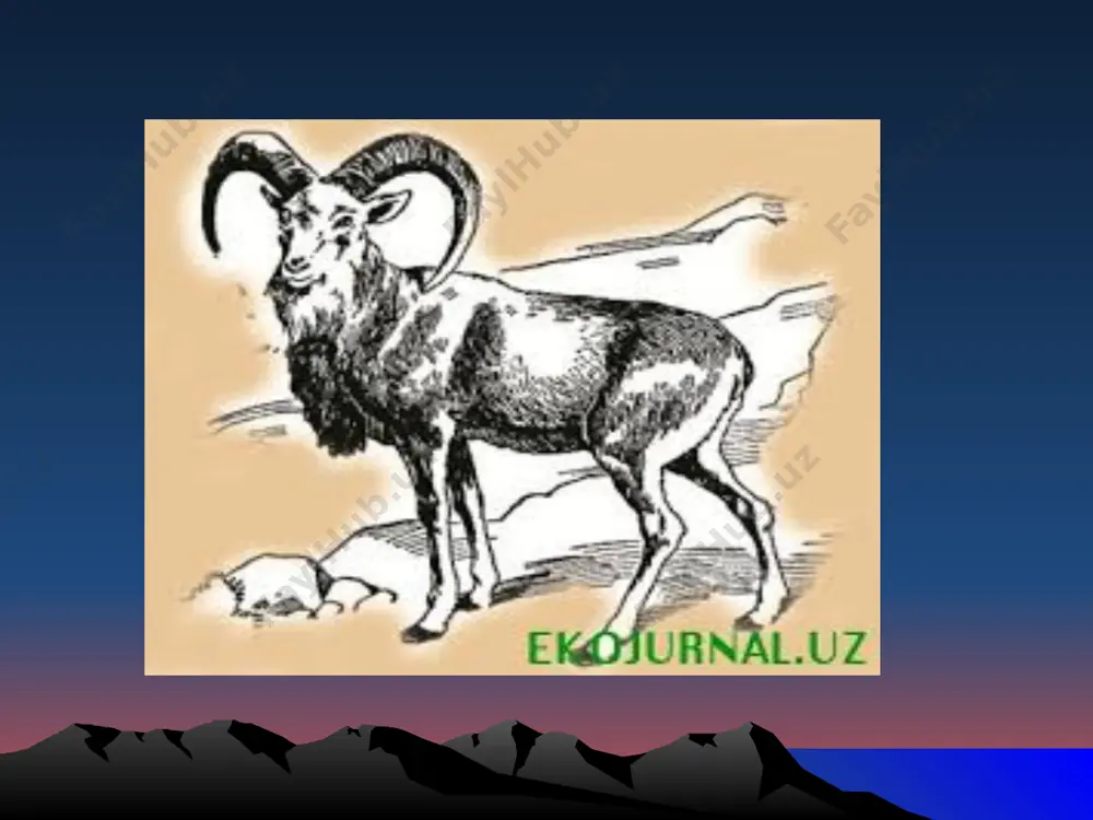 y baza yaratishni ko`zda tutish didaktik prinsip ekologik ta`lim va tabiatni o`rganish ahamiyatga ega bo`lgan tabiiy obyektlarda qo`riqxona tartibini o`rnatishdan iborat. o`zbekistondagi 1-qo`riqxona zomin tog`-o`rmon qo`riqxonasi jizzax viloyatiga qarashli turkiston tizmasining guralash dovoni atrofida1926 –yil 10500 gektar.tog` landshafti va u yerdagi archazorlar hamda tog` echkisi, tog` qo`yi, oq tirnoqli ayiq. sibir takasi kabi hayvonlar muhofaza qilinadi. o`zbekistonda qo`riqxona tashkil qilishda asosan 1970-yillardan boshlab e`tibor berila boshlandi florasi qo‘riqxonaning o‘simlik dunyosi juda rang-barang: 700 xildan ortiq o‘simlik, giyohlar o‘sadi. shulardan ikkitasi «qizil kitob»ga kiritilgan, 48 xili esa faqat turkiston tog‘lari uchun xosdir. tabiiy giyohlardan bo‘znoch, pushti radiola, qizilpoycha, qizilqon kabilarni topish mumkin bo‘lsa, manzarali o‘simliklardan chinnigul, yorongul, za’faron kabilarni; daraxtlardan chetan, yovvoyi olma va noklarni uchratish mumkin. faunasi qo‘riqxona faunasi o‘ziga xos. u­nda sudralib yuruvchilarning 14, qushlarning 102 xilini uchratish mumkin. kamyob qushlardan sanalgan govkaptar, dehqonchumchuq, qumri, qorayaloq, turkiston ukkisi, turkiston chug‘urchiqlari, 30 turdagi sut emizuvchilar, ikki xil suv va quruqlikda …