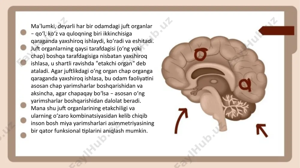 clinical case in neurology - Page 5