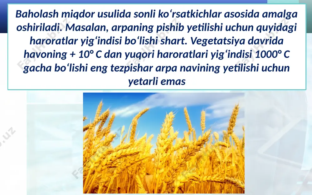 geografik baholash. 10 - sinf - Page 4