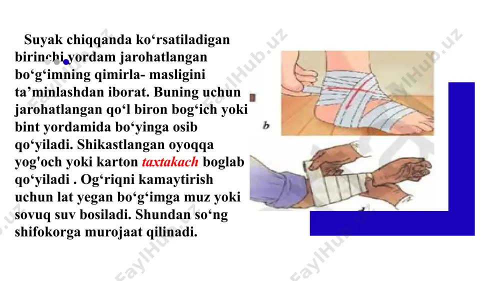 suyaklar shikastlanganda birinchi yordam ko’rsatish - Page 5