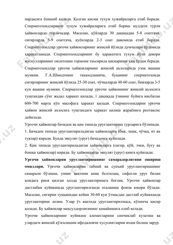 жралиб чиқмасдан уруғлантирилганда урғочи ҳайвон тухум ҳужайралари уруғланмайди. шунинг учун куйикиш аломатлари йўқолгандан кейингина овуляция юз беришини унутмаслик керак. ҳар бир ҳайвоннинг овуляция муддатини яхши билиш амалий жиҳатдан муҳим аҳамиятга эга. ажралиб чиққан тухум ҳужайралар тез нобуд бўлади. шунинг учун спермаларнинг оталантириш қобилиятини йўқотмасдан, тухум ҳужайрага етиб боришини таъминлаш лозим. урғочи ҳайвонни бир марта уруғлантирилганда уни қуйидаги муддатларда уруғлантириш учун энг яхши вақт ҳисобланади: сигирларда дастлабки куйикиш аломатлари малум бўлгандан 12-13 соатдан кейин ёки куйикиш тамом бўлган заҳоти; эчки ва совлиқларда - дастлабки куйикиш аломатлари маълум бўлгандан 3-4 соатдан кейин ва 22-24 соатдан кечиктирмасдан; чўчқаларда куйикиш аломати бошлангач 24-26 соатдан кейин «ҳаракатсизлик рефлекси» пайдо бўлганда, биялар куйикишининг учинчи кунидан бошлаб уруғлантирилиши лозим. йирик ҳайвонларда (бия, сигир) тўғри ичак орқали тухумдонни эҳтиёткорлик билан пайпаслаб кўриб овуляция вақтини аниқлаш мумкин. урғочи ҳайвонларни бир жинсий циклнинг ўзида қайта уруғлантириш ва бунда ҳаётчанлик кўрсаткичлари юқори бўлган спермаларни қўллаш керак. ҳайвонларнинг репродуктив хусусиятларини ошириш учун …
