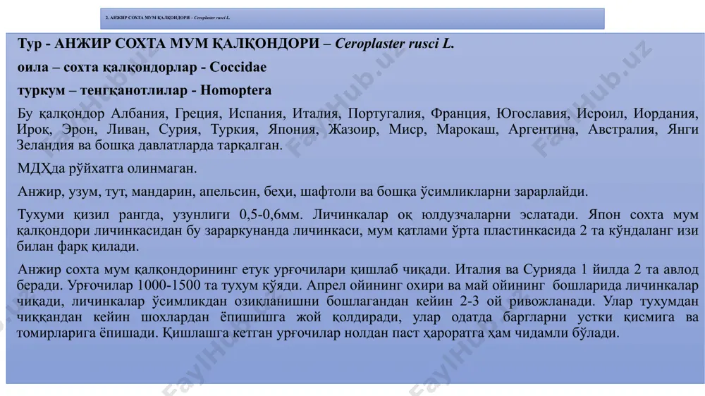 авлодлари етилиб чиқади. европада оқ капалак йилига икки насл беради. баъзи жойларда учинчи марта ҳам насл беради, лекин бу наслнинг қуртлари совуқда ўлиб қолади. америка оқ капалаги: 1-эркаги; 2-урғочиси ва тухум тўдаси; 3-қурти; 4-ғумбаги; 5- зарарланган барг image1.jpeg image2.png image3.jpeg image4.png /docprops/thumbnail.jpeg