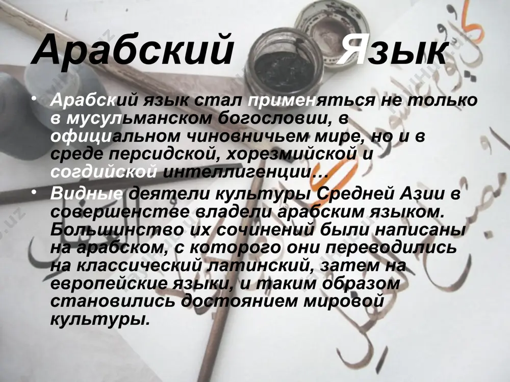 мусульманский ренессанс - Page 3