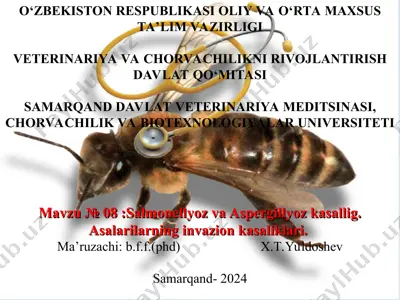 salmonellyoz va aspergillyoz kasallig — PPT
