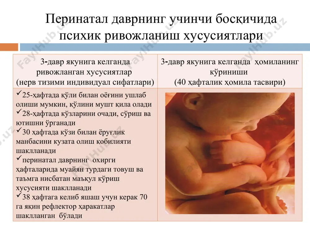 perinatal va chaqaloqlik davrlarida psixofiziologik xususiyatlar - Page 5