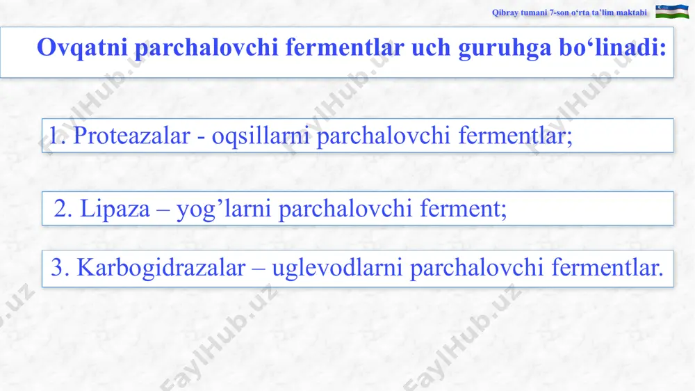 dars ishlanmasi "ovqat hazm qilish va uning ahamiyati" - Page 4