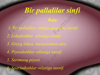 bir pallalilar sinfi — PPTX