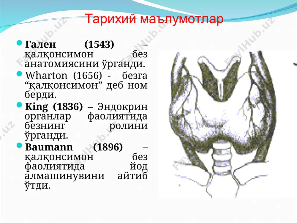 ш спорадик буқоқ: - диффуз - тугунли - аралаш диффуз токсик буқоқ (базедов касаллиги, тиреотоксикоз), токсик аденома (тугунли токсик бўқоқ), қалқонсимон без ўсмалари: - хавфсиз ўсмалар - хавфли ўсмалар қалконсимон безни текшириш усуллари объектив текшириш усуллари (шикоятлари, анамнез йиғиш, умумий кўрик, пайпаслаш ....), қонда без гормонларини текшириш, утт, радиоизотоп сканерлаш, компьютер томография, мрт, қалконсимон без биопсияси қалконсимон безни пайпаслаш усуллари бемор врачга юзма-юз қараб ўтиради ёки тик ҳолат-да туради, бунда ҳар бир қўлнинг тўрттала бармоғи бемор бўйнининг ён томонларида жойлашади, иккала бош бармоқ билан без пайпаслаб кўрилади. қалконсимон безни пайпаслаш усуллари бемор врачга орқасини ўгириб, бошини олдинга ва пастга бир оз энгаштириб ўтирган ҳолатда. бу ҳолатда бўйин мушаклари бўшашади ва безни текшириш осонлашади. бунда ҳар бир қўлнинг тўрттала бармоғи без устида жойлашади, бош бармоқлар эса бўйин-ни орқа томондан эгаллайди. у т т * радиоизотоп сканерлаш қалконсимон без сцинтиграммаси диффуз(чапда) ва тугунли(ўнгда) токсик буқоқда радиактив йоднинг тўпланиши. калконсимон без биопсияси функционал …