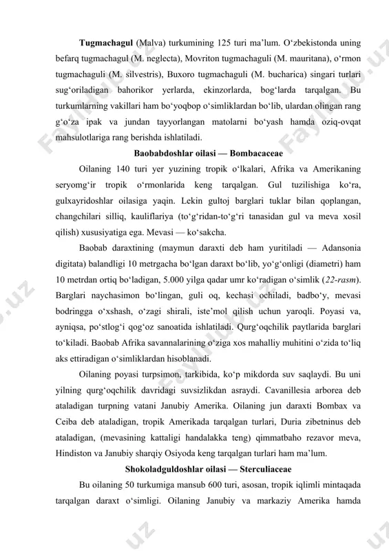 g‘oqchilik paytlarida barglari to‘kiladi. baobab afrika savannalarining o‘ziga xos mahalliy muhitini o‘zida to‘liq aks ettiradigan o‘simliklardan hisoblanadi. oilaning poyasi turpsimon, tarkibida, ko‘p mikdorda suv saqlaydi. bu uni yilning qurg‘oqchilik davridagi suvsizlikdan asraydi. cavanillesia arborea deb ataladigan turpning vatani janubiy amerika. oilaning jun daraxti bombax va ceiba deb ataladigan, tropik amerikada tarqalgan turlari, duria zibetninus deb ataladigan, (mevasining kattaligi handalakka teng) qimmatbaho rezavor meva, hindiston va janubiy sharqiy osiyoda keng tarqalgan turlari ham ma’lum. shokoladguldoshlar oilasi — sterculiaceae bu oilaning 50 turkumiga mansub 600 turi, asosan, tropik iqlimli mintaqada tarqalgan daraxt o‘simligi. oilaning janubiy va markaziy amerika hamda meksikada tarqalgan 15 ga yaqin o‘simlik turini o‘zida birlashtiruvchi theobrona turkumi tavsifga loyiq. ularning aksariyat qismi doimiy yashil, seryomg‘ir tropik o‘rmonlarda o‘sadigan, uncha baland bo‘lmagan daraxt. turkumning xarakterli vakili shokolad daraxti (th. cacao) balandligi 3-5 m keladigan tik o‘suvchi daraxt. barglari butun, uzunligi 20-40 sm, eni 7-15 sm. gullari va shunga ko‘ra, mevasi …