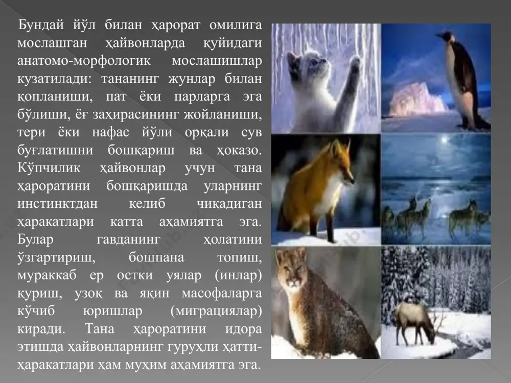 ўсимликларнинг ҳарорат омилига қараб экологик гуруҳларга ажралиши - Page 5
