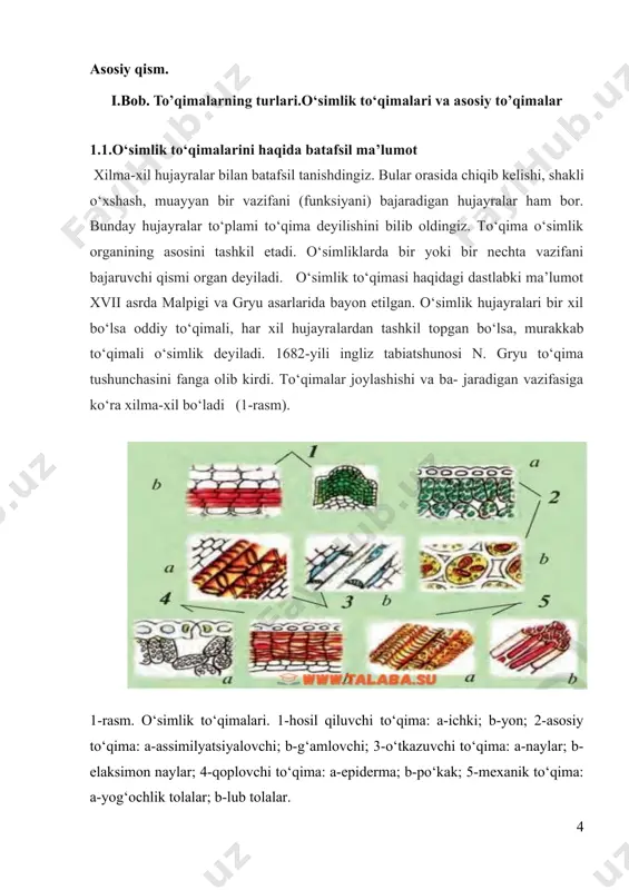 di. cho‘ldagi ba’zi o‘simliklarda, masalan, sarsazan, buzoq- bosh, qizil sho‘ra, baliqko‘z va boshqalarda shiraga boy hujayralar bo‘lib, ularda asosan suv saqlanadi. suv saqlovchi hujayralar o‘simliklarning barg va novdalarida bo‘ladi. zarurat bo‘lganda o‘simlik shu suvdan foydalanadi. qoplovchi to‘qimaning chiqib kelishi o‘simliklarni suvli muhitdan quruqlikka moslashishidan boshlangan. qoplovchi to‘qima organlarni qurib qolishdan va tashqi muhitning noqulay sharoitlaridan, mexanik shikastlanishlardan himoya qiladi. bular ham ontogenez davrida meristema to‘qimadan vujudga keladi. bu to‘qima 3 ga bo‘linadi: epiderma, periderma va po‘stloq. epiderma gazlar almashinishida, kasal hujayralarning sog‘ to‘qimaga kirmasligi hamda o‘simlikni tashqi muhitdan saqlashda qatnashadi. bu to‘qima ham poya va ildizlarda uchraydi. o‘simlik qarigan sari periderma o‘rniga po‘stlog‘i o‘lik to‘qimalar paydo bo‘ladi. o‘tkazuvchi to‘qima. bu to‘qima o‘simlik tanasidagi ozi- qa moddalarning harakatlanishini ta’minlaydi. o‘simliklarda suv va unda erigan moddalar pastdan yuqoriga, ya’ni ildizdan tanaga qarab ko‘tariladi. fotosintez jarayonida hosil bo‘lgan organik moddalar esa ildiz tomonga qarab harakatlanadi. bu ikki jarayon o‘tkazuvchi to‘qimalar – ksilema vafloema …