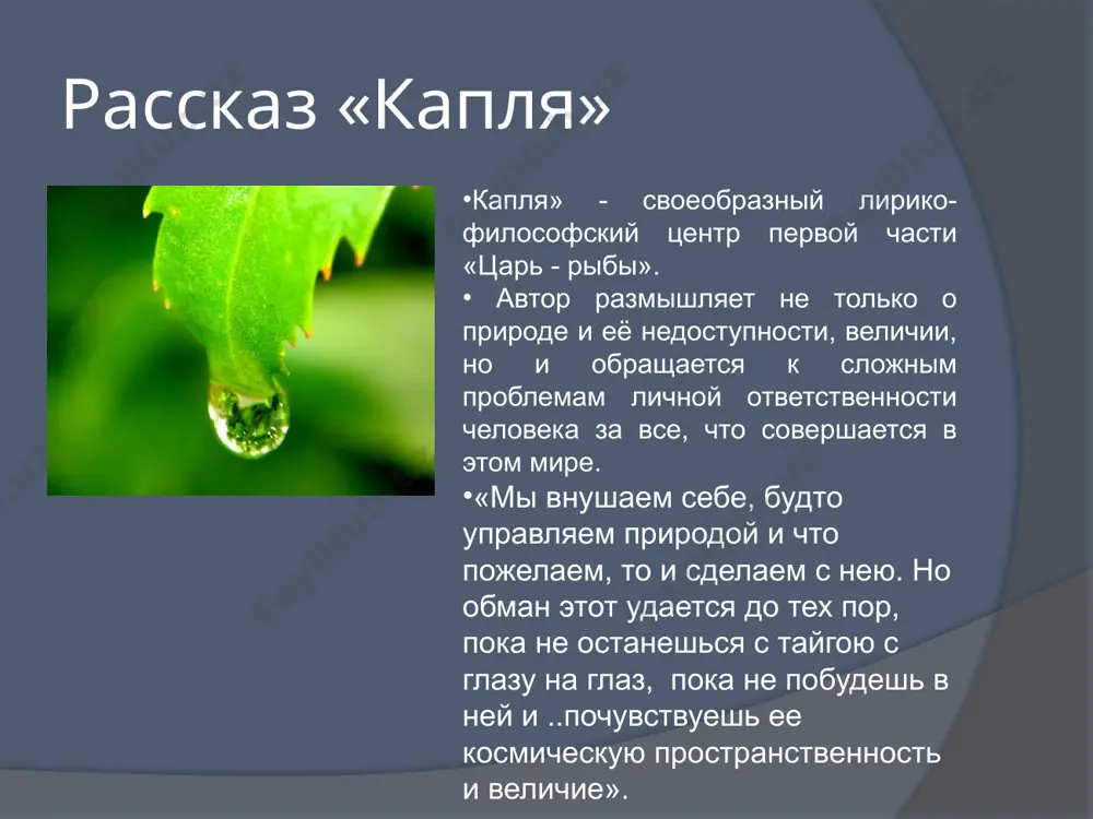 деревенская проза - Page 4