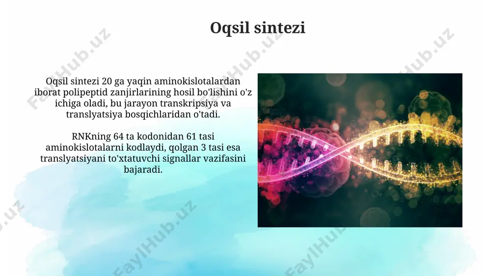 hi oqsillar, kabi turli fermentlar va oqsillar komplekslarini jalb qiladi, bu jarayon o‘rtacha 30 daqiqada sodir bo‘ladi. mrna ning yetuklashuvi 5’ qopqoq (7-metilguanozin) va 3’ poli(a) dumini qo‘shilishini o‘z ichiga oladi, bu esa transkripsiyadan keyingi modifikatsiyalar bo‘lib, mrna ning barqarorligini va translyatsiyasi samaradorligini oshiradi. ribosomalarning tuzilishi va vazifalari ribosomalarning kichik (30s) va katta (50s) subbirliklaridan tashkil topganligi va ularning birgalikda 70s ribosomalarini hosil qilishi, transkripsiya va translyatsiya jarayonlarida muhim rol o'ynashi. ribosomalarning a (aminoasil), p (peptidil) va e (exit) saytlarga ega bo'lishi, trna molekulalarining bog'lanishi va peptid bog'lanishining hosil bo'lishi uchun zarur bo'lgan o'ziga xos joylarni ifodalashi. e'tiboringiz uchun rahmat @taqdimot_robot image2.jpg image3.jpg image4.jpg image5.jpg image6.jpg image7.jpg image8.jpg image9.jpg image10.jpg image11.jpg image12.jpg image13.jpg image1.png